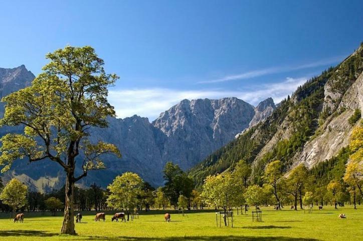 Апартаменти Alpenfreund Міттенвальд Екстер'єр фото